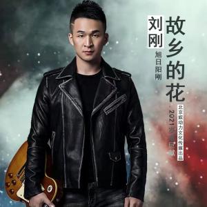 收听刘刚(旭日阳刚)的故乡的花 (DJ阿卓版)歌词歌曲