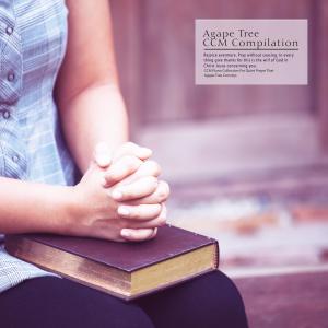 Listen to Looking At The Lord song with lyrics from Joo Chanhui