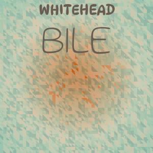 Listen to Offshore Headroom song with lyrics from Bani Sont