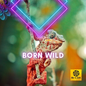 Album Born Wild from Listen Zilli