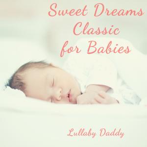 Album Sweet Dreams Classic for Babies from Lullaby Daddy