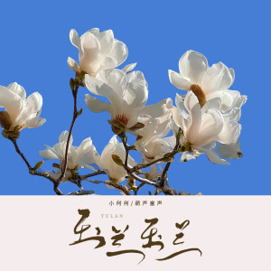 玉兰玉兰 dari 小何何