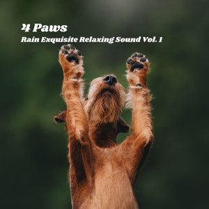 อัลบัม 4 Paws: Rain Exquisite Relaxing Sound Vol. 1 ศิลปิน The Forest Escape