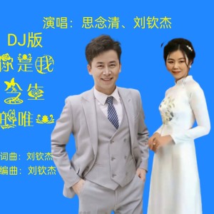 Listen to 你是我今生的唯一（DJ版） (cover: 刘钦杰) (Live) song with lyrics from 思念清