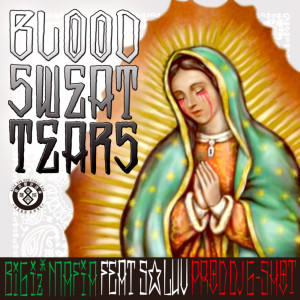 Album BLOOD SWEAT TEARS (feat. S-LUV) from 