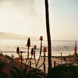 Listen to The Only song with lyrics from Lost In Pacific