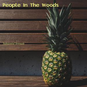 อัลบัม People in the Woods ศิลปิน Substantial Serenade
