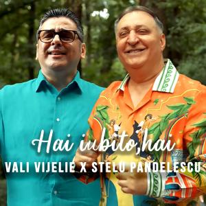 Vali Vijelie的專輯Hai iubito,hai (feat. Stelu Pandelescu)