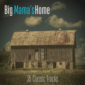 收聽Big Mama Thornton的Let Your Tears Fall Baby歌詞歌曲
