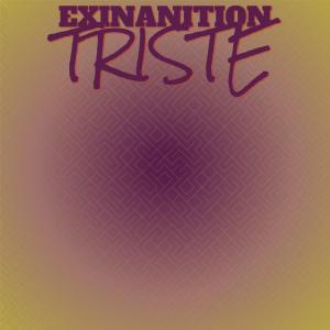 Album Exinanition Triste from Various
