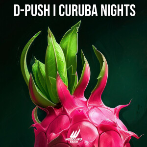 Album Curuba Nights from D-Push