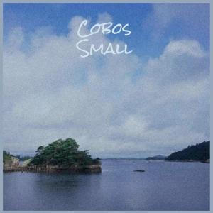 Various的专辑Cobos Small