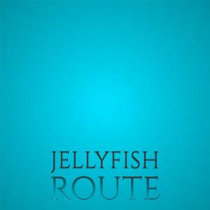 Album Jellyfish Route oleh Various Artists