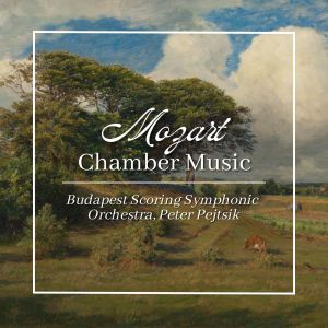 Péter Pejtsik的專輯Mozart: Chamber Music