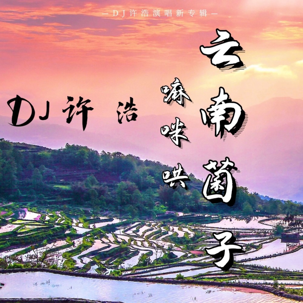 云南菌子嘛咪哄（DJ许浩版） (完整版)