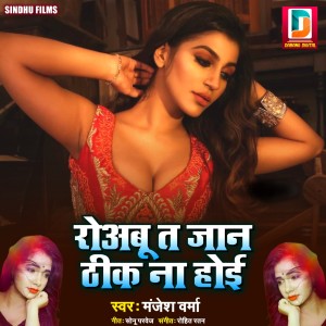 收听Manjesh Verma的Roabu Ta Jan Thik Na Hoi歌词歌曲