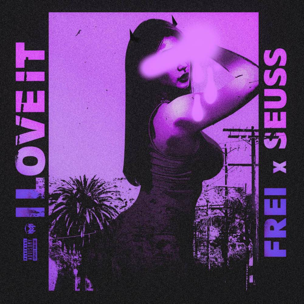 I LOVE IT (Explicit)