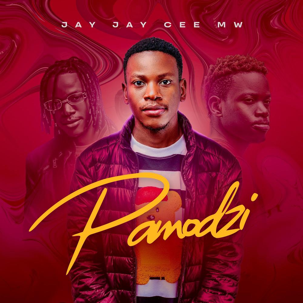 Thimbwiza (feat. Leslie Moyo)