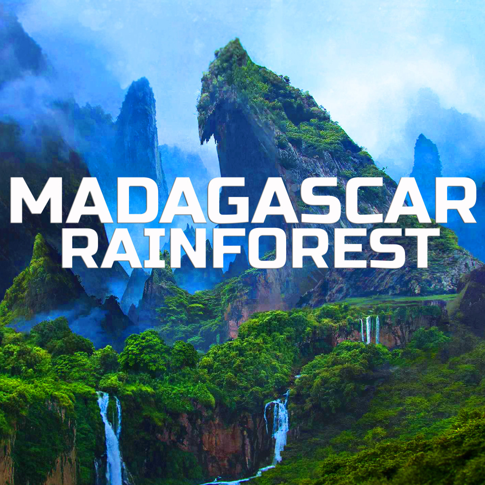 Soothing Madagascar Rainforest (Animal Planet FX Remix)