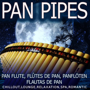 收聽Quechua y su flauta de los Andes的Can't Take My Eyes of You歌詞歌曲