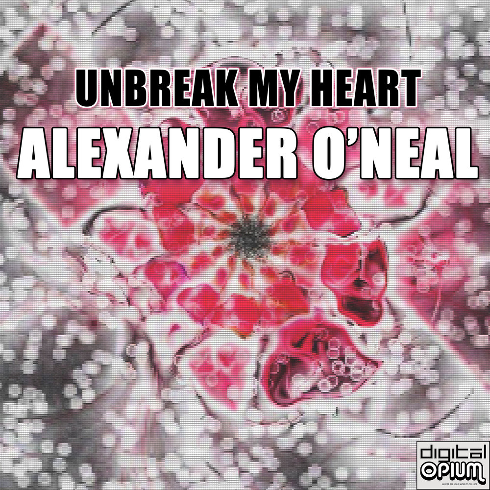 Unbreak My Heart