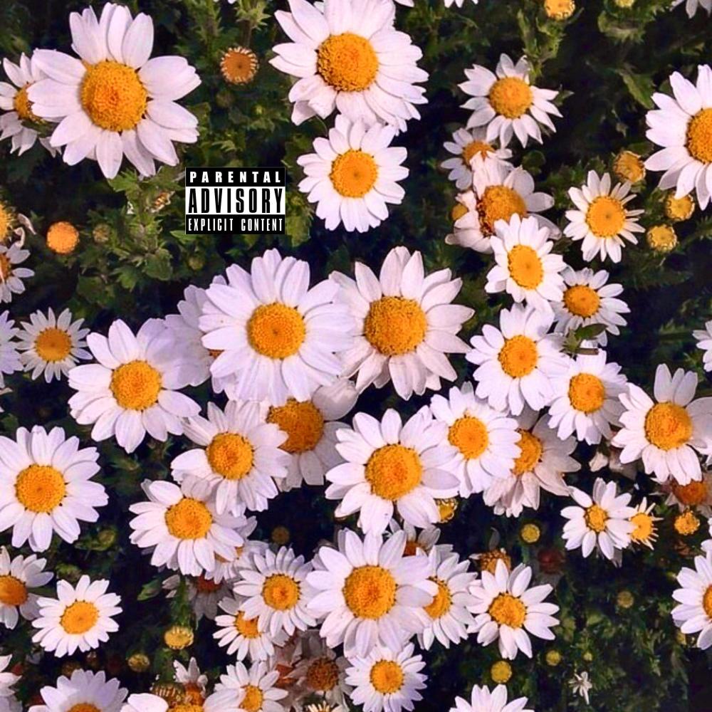 Daisies (Explicit)