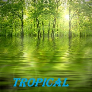 Tropical dari Animo