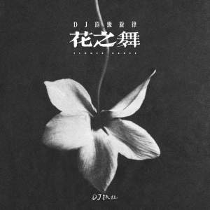 Album 花之舞 (DJ顶级旋律) from DJ铁柱