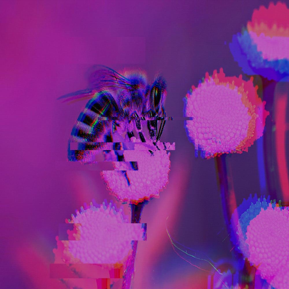 Identity