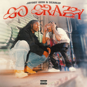 Listen to Go Crazy (Explicit) song with lyrics from JayDot Geek