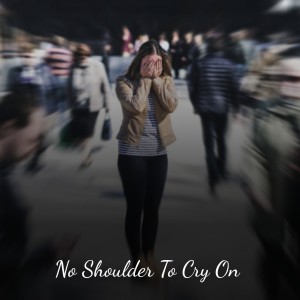 Various的专辑No Shoulder to Cry On
