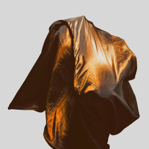 ดาวน์โหลดและฟังเพลง Foolish (Til Kolare Flip) (feat. Ash & Til Kolare) พร้อมเนื้อเพลงจาก Sean Bradford