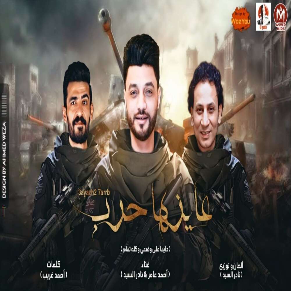 عايزها حرب ( دايما على وضعى وكله تمام )
