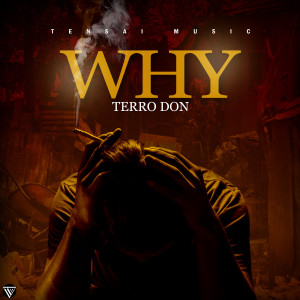 Listen to Why song with lyrics from Terro Don