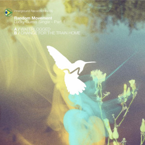 收聽Random Movement的Waterlogged (Original Mix)歌詞歌曲