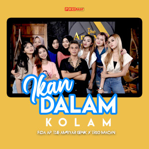 Dengarkan Ikan Dalam Kolam lagu dari Fida AP dengan lirik