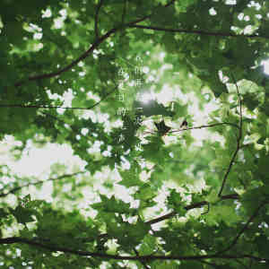 Listen to 在夏日的尾声，我们再去一次海边吧！ song with lyrics from RRAN