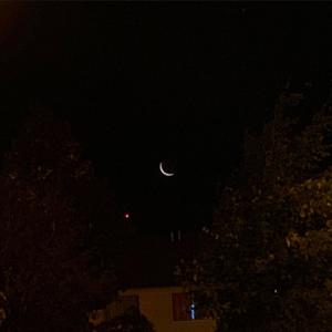 Listen to mentecata song with lyrics from Digital FLWR