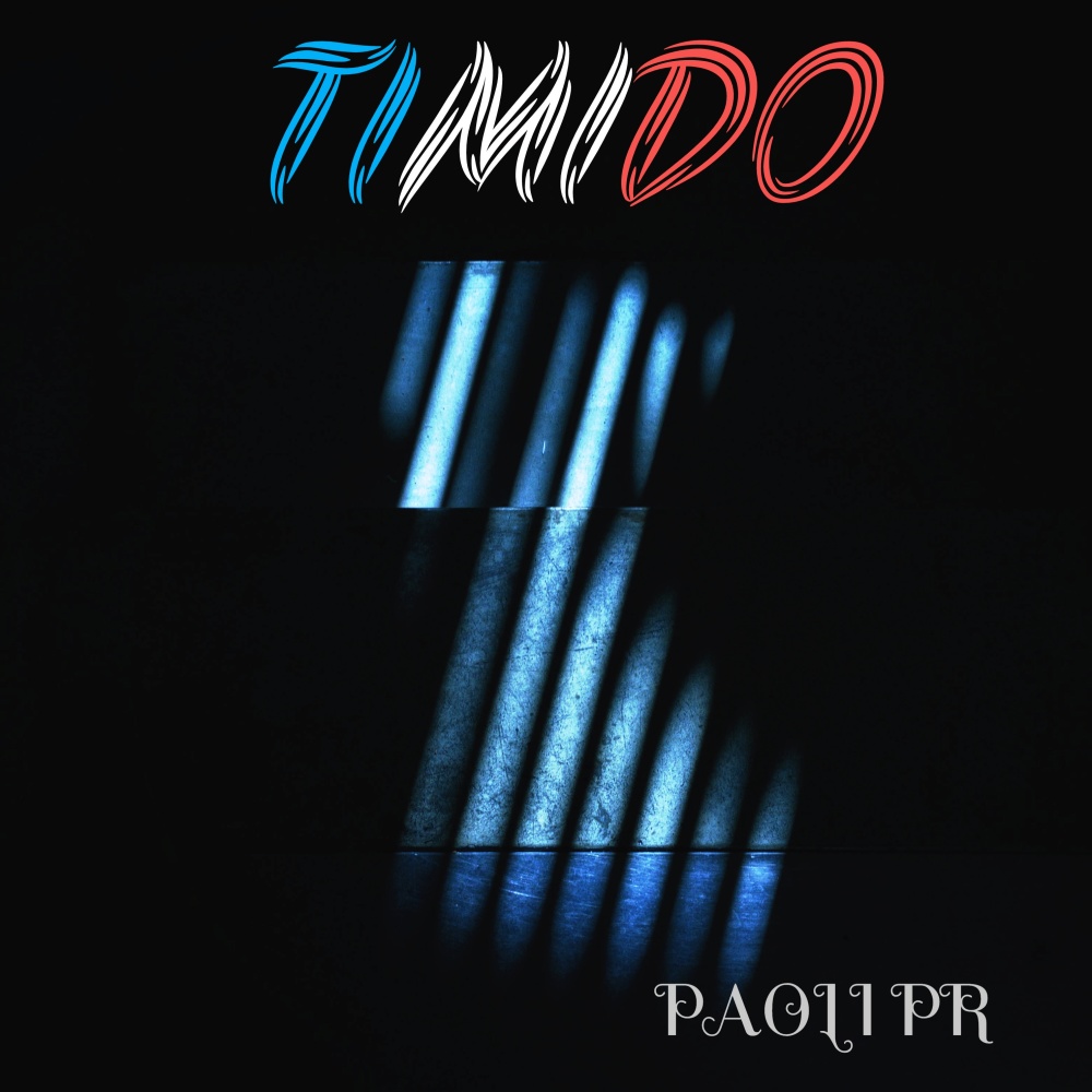 TIMIDO