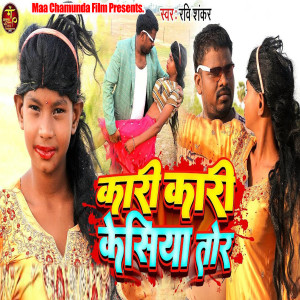 收听Ravi Shankar的Kari Kari Kesiya Tor歌词歌曲