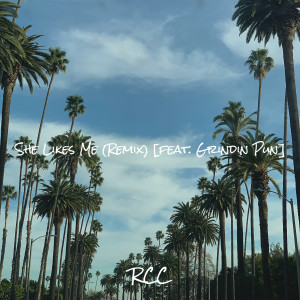 Album She Likes Me (Remix) from RCC