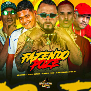 Listen to Fazendo Poze (Explicit) song with lyrics from Afinho do Fluxo