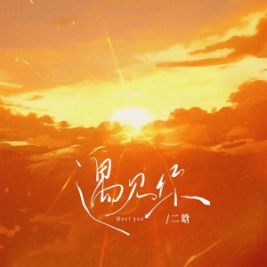 Listen to 遇见你(就像生命里落下一束光) (和声伴奏) song with lyrics from 二晗