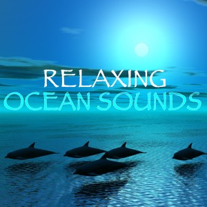 ดาวน์โหลดและฟังเพลง Waves: Sleep Nature Sounds พร้อมเนื้อเพลงจาก Relaxation