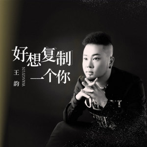 收聽王韻的好想複製一個你 (伴奏)歌詞歌曲