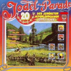 Listen to Jodel - Lady song with lyrics from Bergland Duo