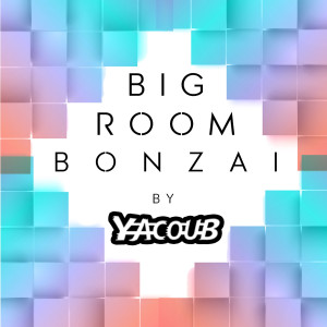 Dengarkan Big Room Bonzai (Explicit) lagu dari Dj Yacoub dengan lirik