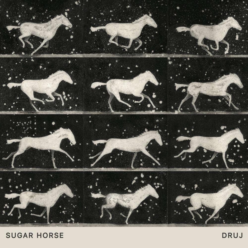 Druj
