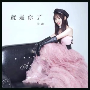Listen to 就是你了 (伴奏) song with lyrics from 笑唯