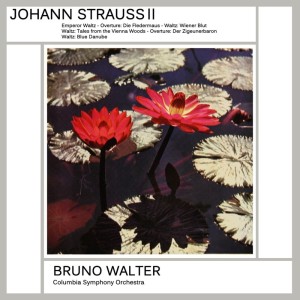 Dengarkan Emperor Waltz, Op. 437 lagu dari Columbia Symphony Orchestra, New York Philharmonic, Thomas Schippers dengan lirik